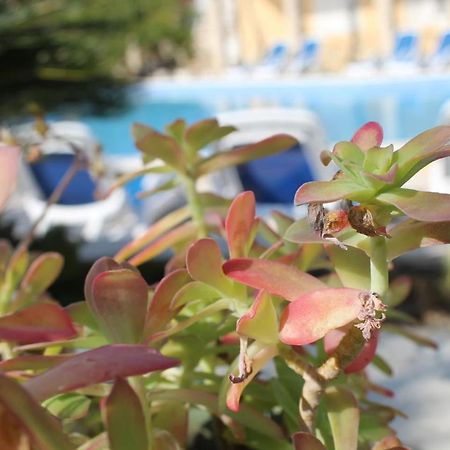 Cosy Sun-Splashed Bedroom - Pansion Hajduk Korcula Town Exterior foto