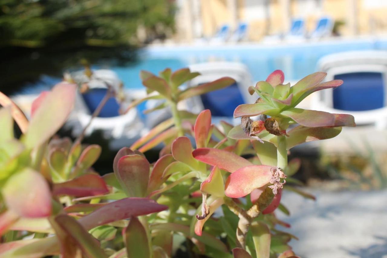 Cosy Sun-Splashed Bedroom - Pansion Hajduk Korcula Town Exterior foto
